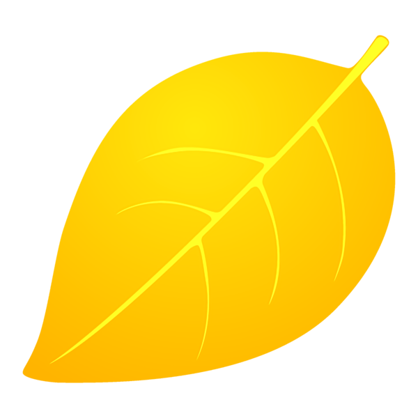 Transparent Thanksgiving Leaf Yellow Tree for Fall Leaves for Thanksgiving