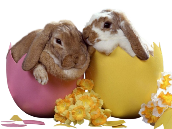 Transparent Easter Bunny European Rabbit Easter Snout for Easter