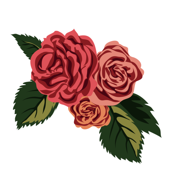 Transparent Rose Drawing Black Rose Flower Pink for Valentines Day