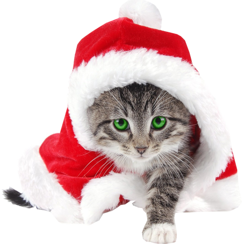 Transparent Santa Claus Cat Reindeer Small To Mediumsized Cats for Christmas