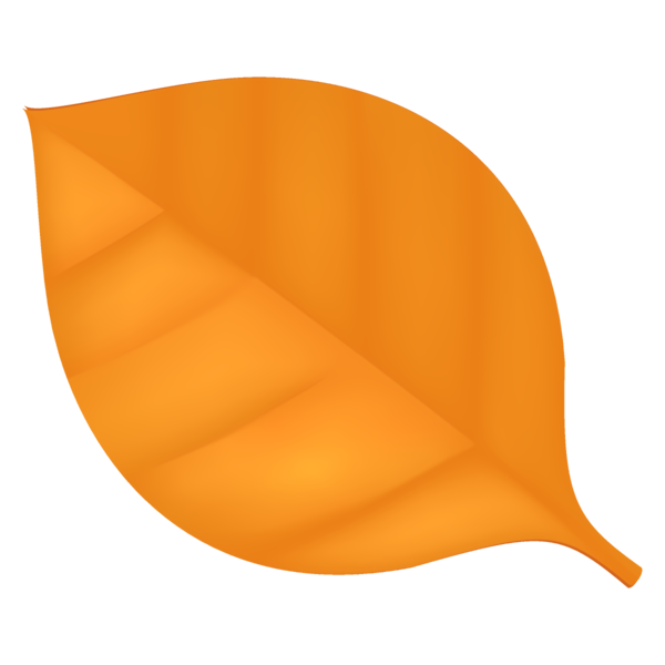 Transparent Thanksgiving Orange Leaf Yellow for Fall Leaves for Thanksgiving