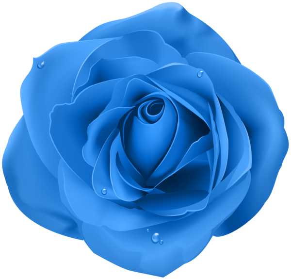 Transparent Blue Rose Rose Flower Blue for Valentines Day