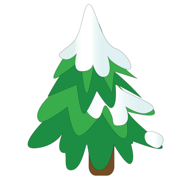 Transparent Fir Tree Winter Pine Family for Christmas