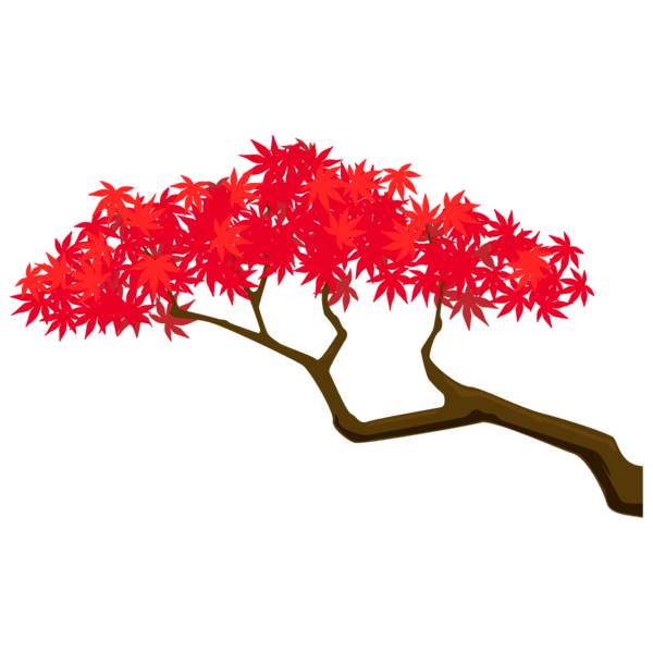 Transparent Thanksgiving Red Tree Leaf for Fall Leaves for Thanksgiving