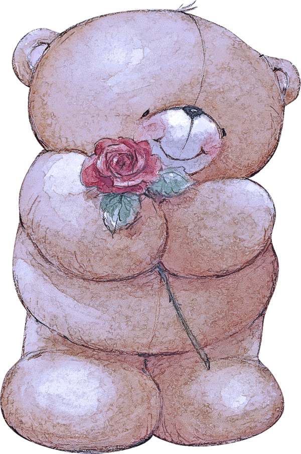 Transparent Teddy Bear Toy Plant for Valentines Day