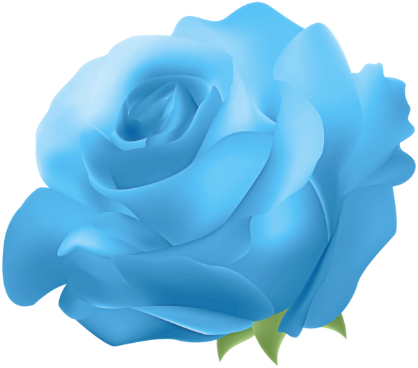 Transparent Rose Blue Blue Rose for Valentines Day