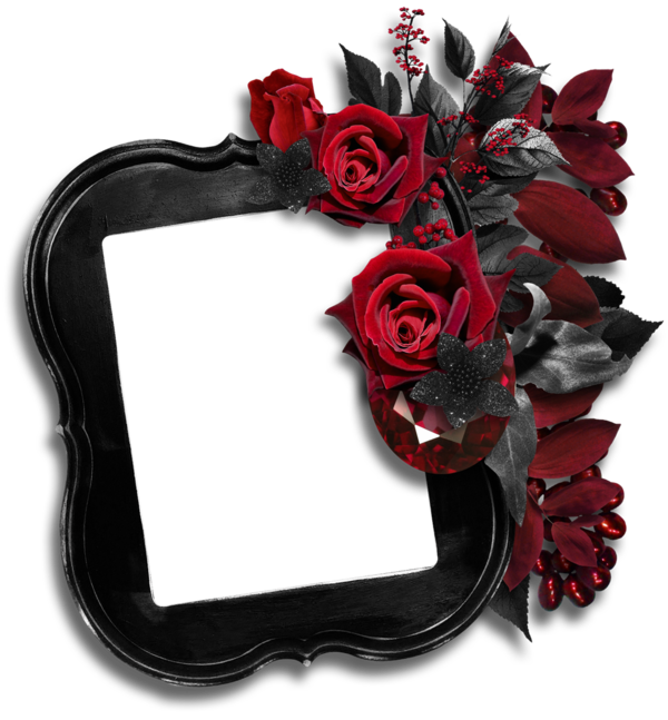 Transparent Rose Picture Frame Black Rose Rose Family Flower for Valentines Day