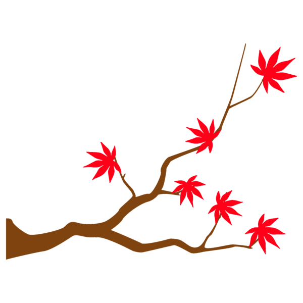 Transparent Thanksgiving Leaf Branch Tree for Fall Leaves for Thanksgiving