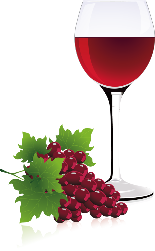 Transparent Red Wine Wine Common Grape Vine Champagne Stemware Grapevine Family for New Year