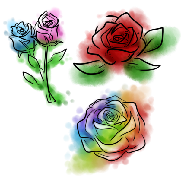 Transparent Garden Roses Cabbage Rose Rainbow Rose Flower Rose Family for Valentines Day