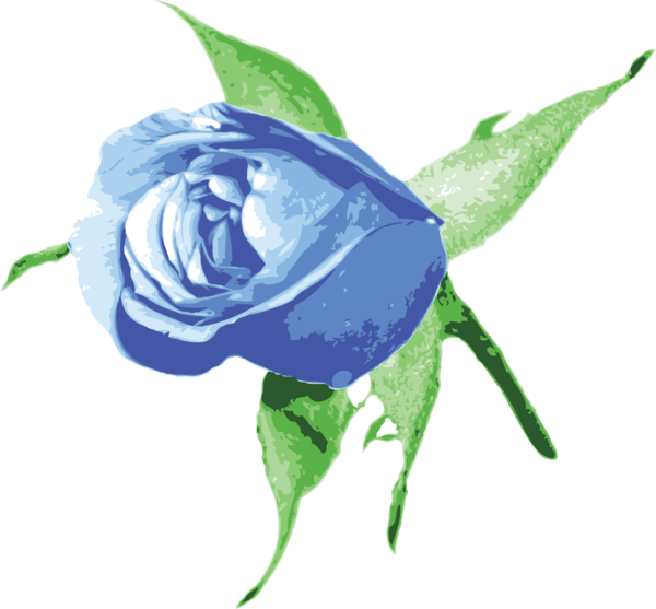 Transparent Rose Blue Rose Flower Petal Plant for Valentines Day