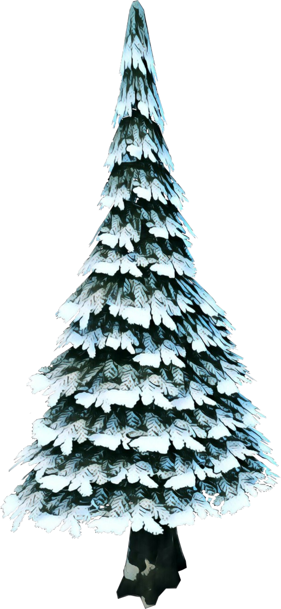 Transparent Pine Evergreen Tree Colorado Spruce Balsam Fir for Christmas