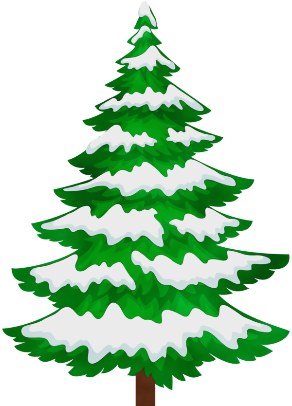 Transparent Pine Tree Fir Colorado Spruce Oregon Pine for Christmas