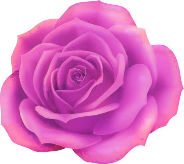 Transparent Rose Blue Rose Flower Garden Roses Pink for Valentines Day