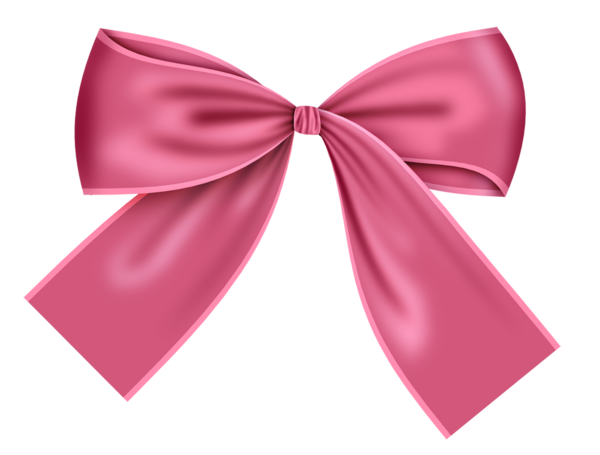 Transparent Ribbon Page Layout Silk Pink Bow Tie for Christmas