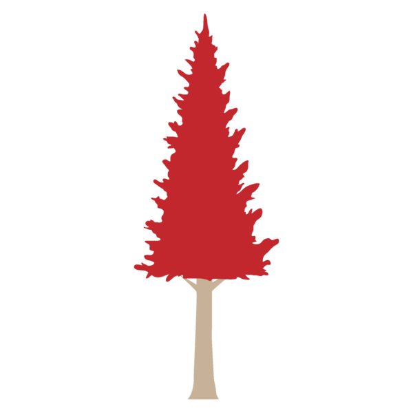 Transparent Thanksgiving Tree oregon pine Christmas tree for Fall Leaves for Thanksgiving