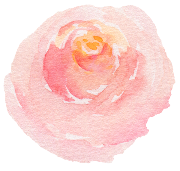 Transparent Beach Rose Watercolor Painting Gratis Pink Flower for Valentines Day