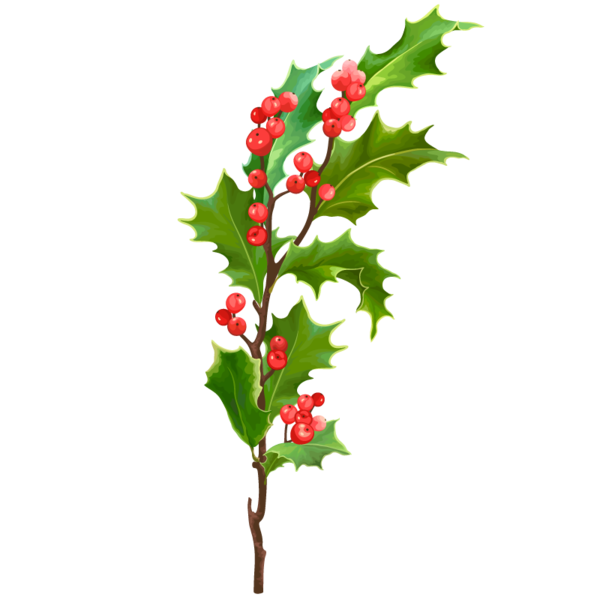 Transparent Leaf Christmas Holly Plant Twig for Christmas