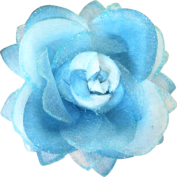 Transparent Blue Rose Garden Roses Cabbage Rose Flower Blue for Valentines Day