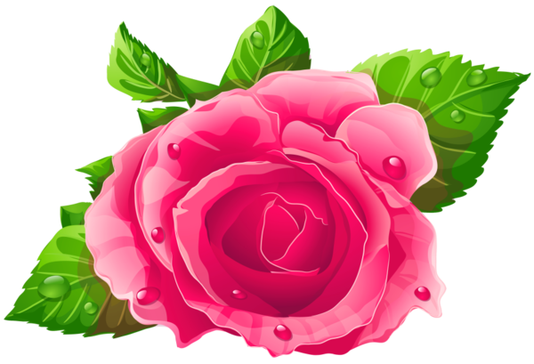 Transparent Rose Pink Pink Flowers Flower for Valentines Day