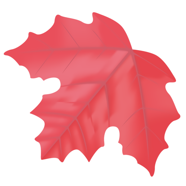 Transparent Thanksgiving Leaf Red Maple leaf for Fall Leaves for Thanksgiving