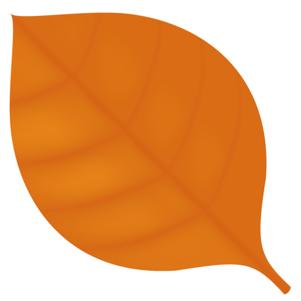 Transparent Thanksgiving Orange Yellow Leaf for Fall Leaves for Thanksgiving