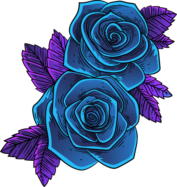 Transparent Blue Rose Garden Roses Blue Rose for Valentines Day