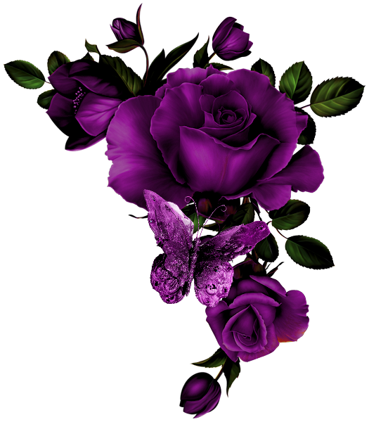 Transparent Rose Flower Black Rose Violet for Valentines Day