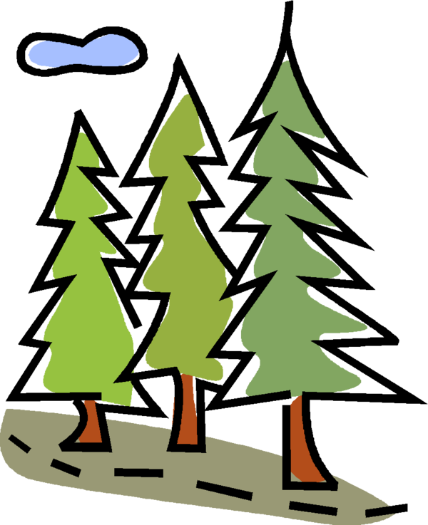 Transparent Sticker Decal Lake Arrowhead Fir Pine Family for Christmas