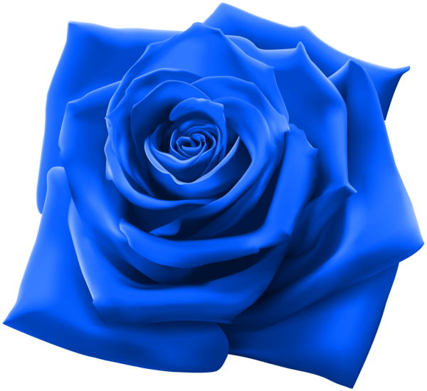 Transparent Rose Blue Rose Flower Blue for Valentines Day