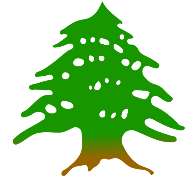 Transparent Lebanon Greater Lebanon Cedrus Libani Green Christmas Tree for Christmas