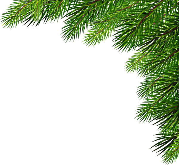 Transparent Christmas Day Pine Santa Claus Tree White Pine for Christmas