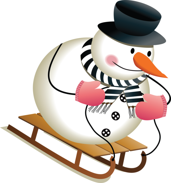 Transparent Snowman Snow Christmas Beak for Christmas