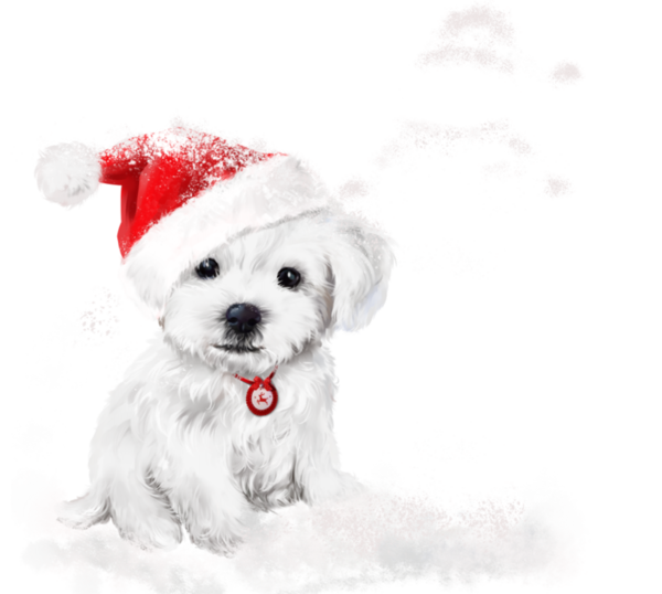 Transparent Puppy Labrador Retriever Kitten Christmas Ornament Bichon for Christmas
