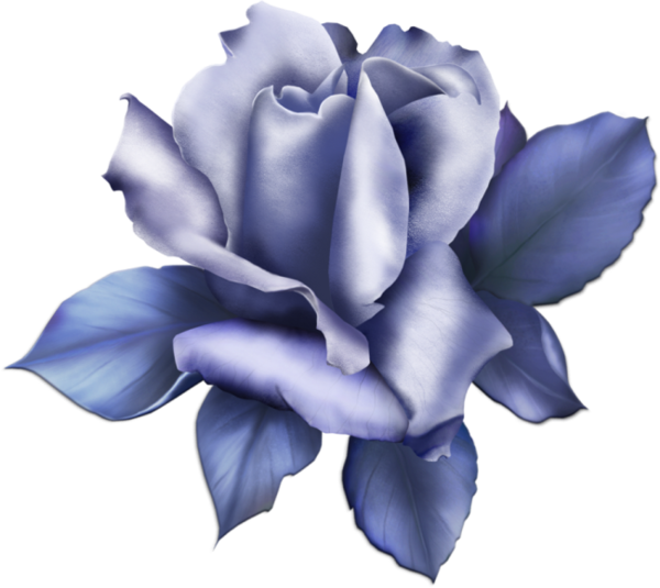 Transparent Blue Rose Blue Garden Roses Flower for Valentines Day