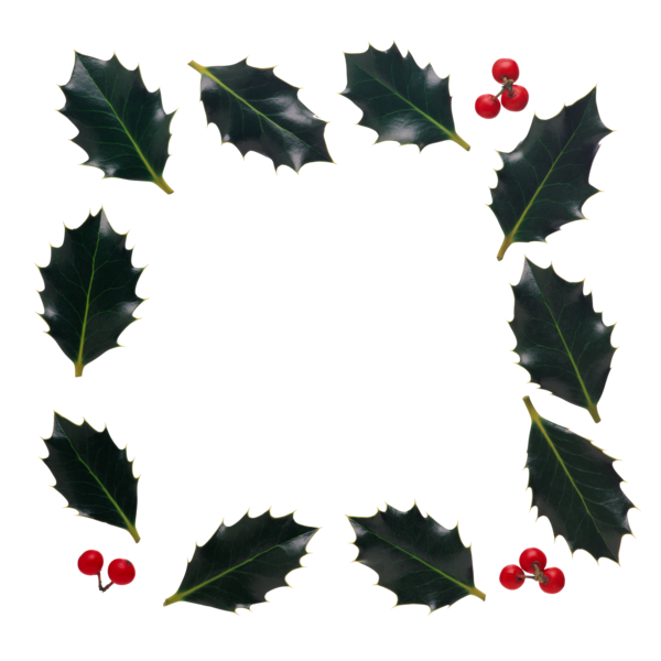 Transparent Holly Picture Frames Leaf Plant for Christmas