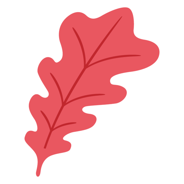 Transparent Thanksgiving Leaf Red Pink for Fall Leaves for Thanksgiving