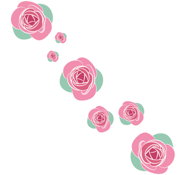 Transparent Garden Roses Flower Rose Pink Rose Family for Valentines Day