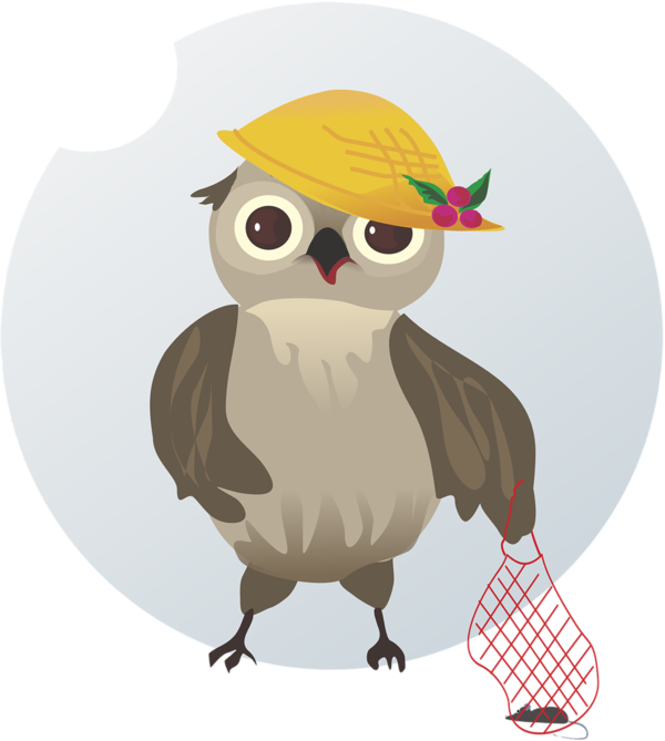 Transparent Thanksgiving Owl Bird of prey Bird for Thanksgiving Owl for Thanksgiving