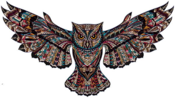 Transparent Thanksgiving Owl Bird of prey Eastern Screech owl for Thanksgiving Owl for Thanksgiving