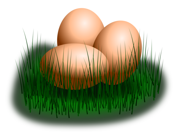 Transparent Fried Egg Chicken Egg Grass Family Commodity for Easter