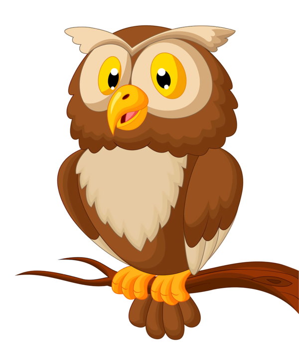 Transparent Thanksgiving Bird Owl Cartoon for Thanksgiving Owl for Thanksgiving