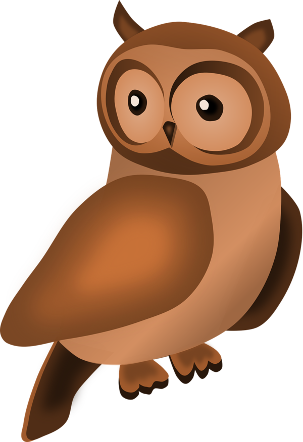Transparent Thanksgiving Owl Cartoon Bird of prey for Thanksgiving Owl for Thanksgiving