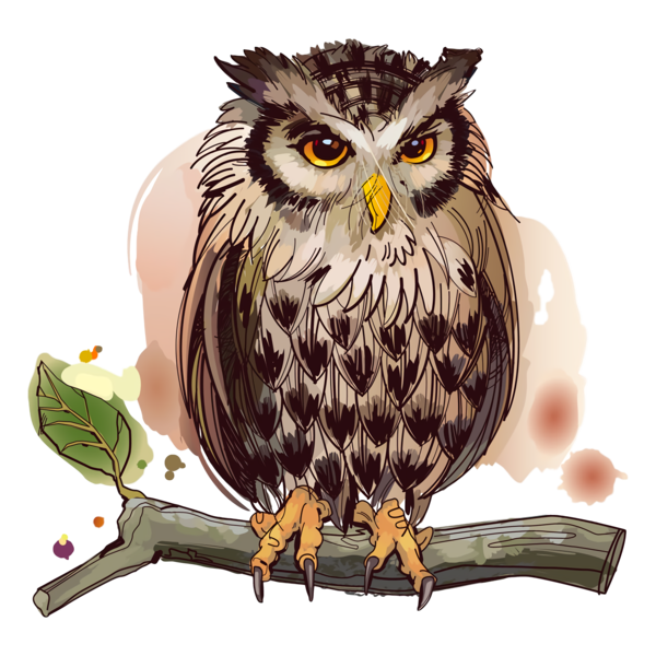 Transparent Thanksgiving Owl Bird Bird of prey for Thanksgiving Owl for Thanksgiving