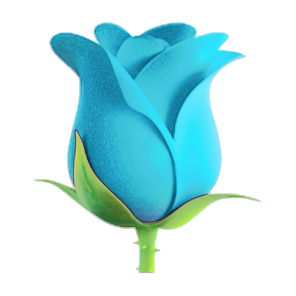 Transparent Green Cut Flowers Petal Blue Rose for Valentines Day
