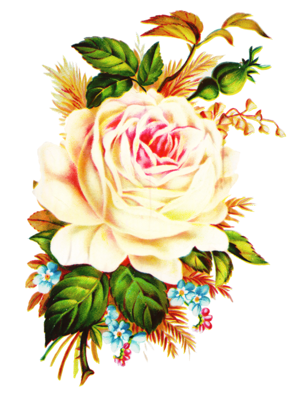 Transparent Flower Rose Floral Design Cut Flowers for Valentines Day