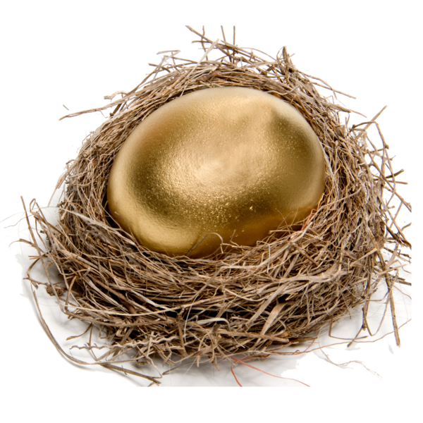 Transparent Chicken Egg Nest Bird Nest for Easter