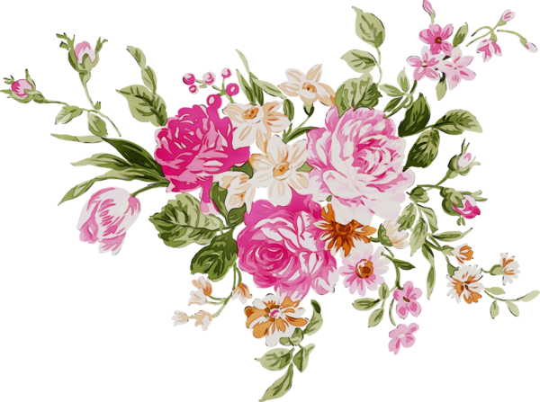 Transparent Garden Roses Multiflora Rose Floral Design Flower Cut Flowers for Valentines Day