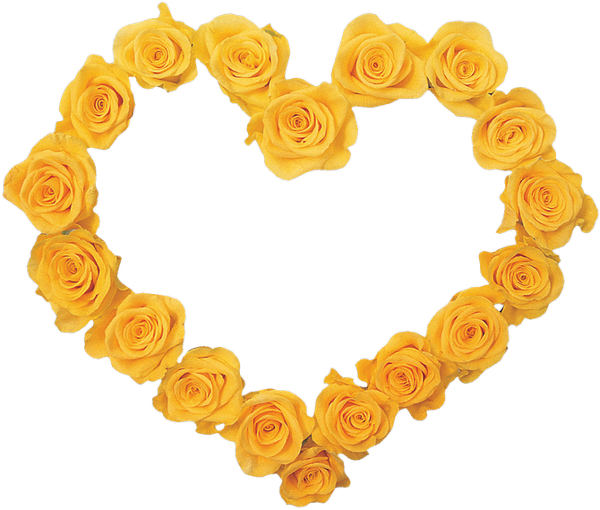 Transparent Garden Roses Floral Design Poster Yellow Flower for Valentines Day