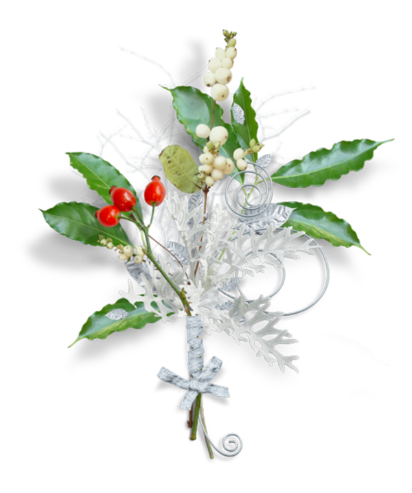 Transparent Christmas Day Holiday Flower Plant for Christmas